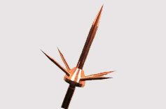 Lightning Arrester
